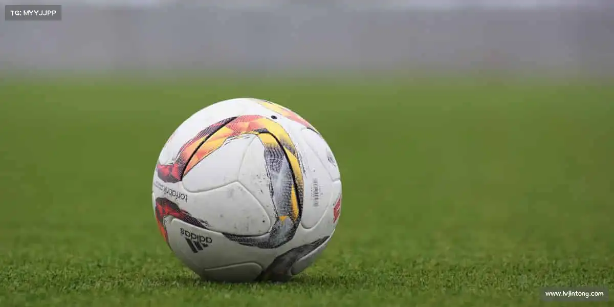 js3333线路检测中心——🥊拳力以赴!释放压力,格斗课程点燃你的斗志🔥